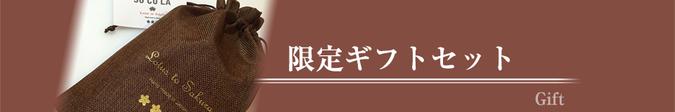 チョコレートのSOCOLA 限定ギフトセット